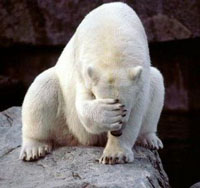 JPG Image0, 960px × 1280px