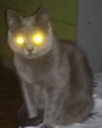 JPG Image0, 1000px × 732px