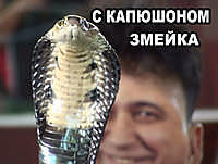 JPG Image0, 454px × 842px