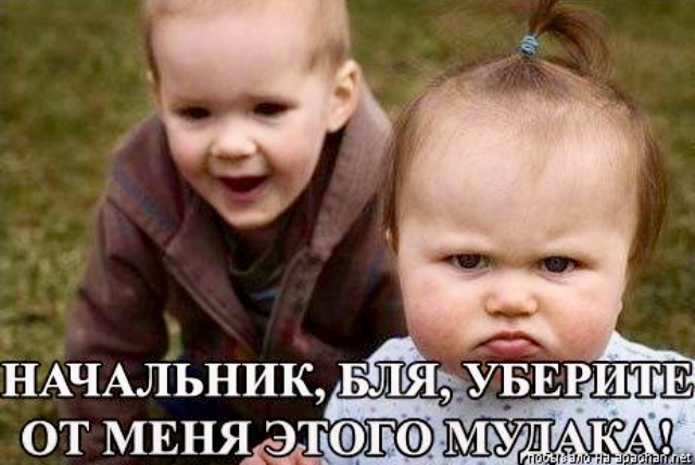 JPG Image0, 454px × 842px