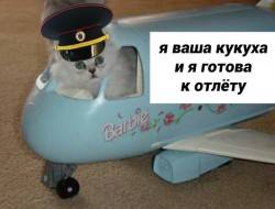 JPG Image, 82KB, 604px × 461px