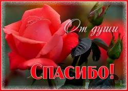 JPG Image, 73KB, 700px × 500px