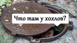 JPG Image, 67KB, 598px × 342px