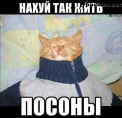 JPG Image, 111KB, 639px × 616px