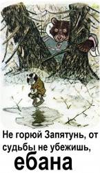 JPG Image, 221KB, 509px × 874px