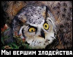 JPG Image, 75KB, 437px × 338px