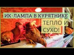JPG Image, 40KB, 480px × 360px