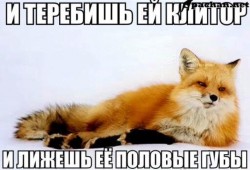 JPG Image, 64KB, 640px × 437px