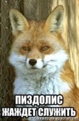 JPG Image, 50KB, 357px × 542px