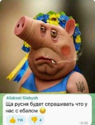JPG Image, 22KB, 242px × 320px
