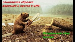 JPG Image, 344KB, 1280px × 720px