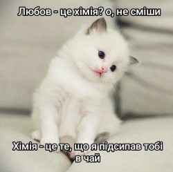 JPG Image, 50KB, 563px × 562px