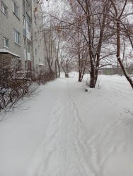 JPG Image, 360KB, 963px × 1280px