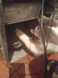JPG Image, 345KB, 1505px × 2000px
