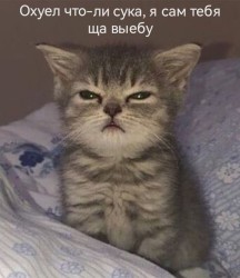 JPG Image, 85KB, 720px × 830px