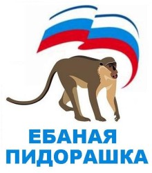 JPG Image, 45KB, 505px × 572px