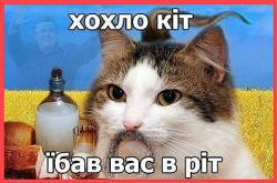 JPG Image, 53KB, 400px × 264px