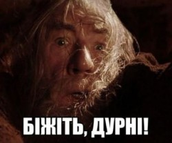 JPG Image, 19KB, 320px × 266px