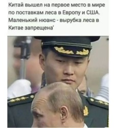 JPG Image, 40KB, 480px × 536px
