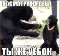 JPG Image, 69KB, 735px × 696px