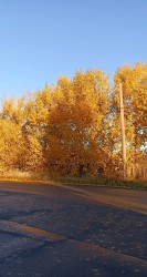 JPG Image, 677KB, 1067px × 2000px