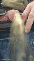 GIF Image, 529KB, 112px × 200px