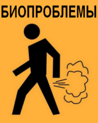 PNG Image, 81KB, 320px × 400px