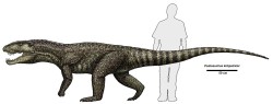 JPG Image, 117KB, 1280px × 491px