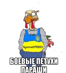 JPG Image, 41KB, 455px × 497px