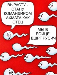 JPG Image, 80KB, 544px × 716px