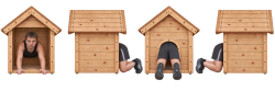 PNG Image, 1118KB, 2000px × 666px