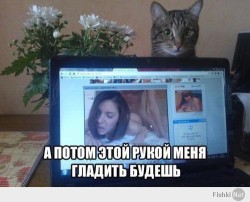JPG Image, 45KB, 500px × 405px