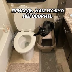 JPG Image, 56KB, 512px × 512px
